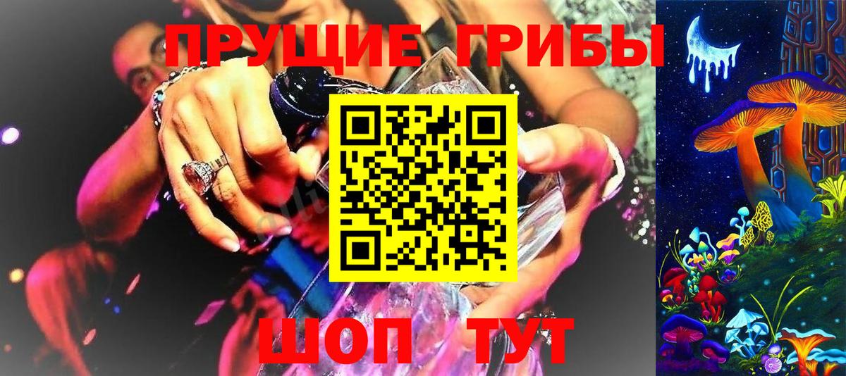 как найти закладки  Вход с VPN  Ефремов  Галлюциногенные грибы GOLDEN TEACHER  Псилоцибиновые грибы мухоморы 