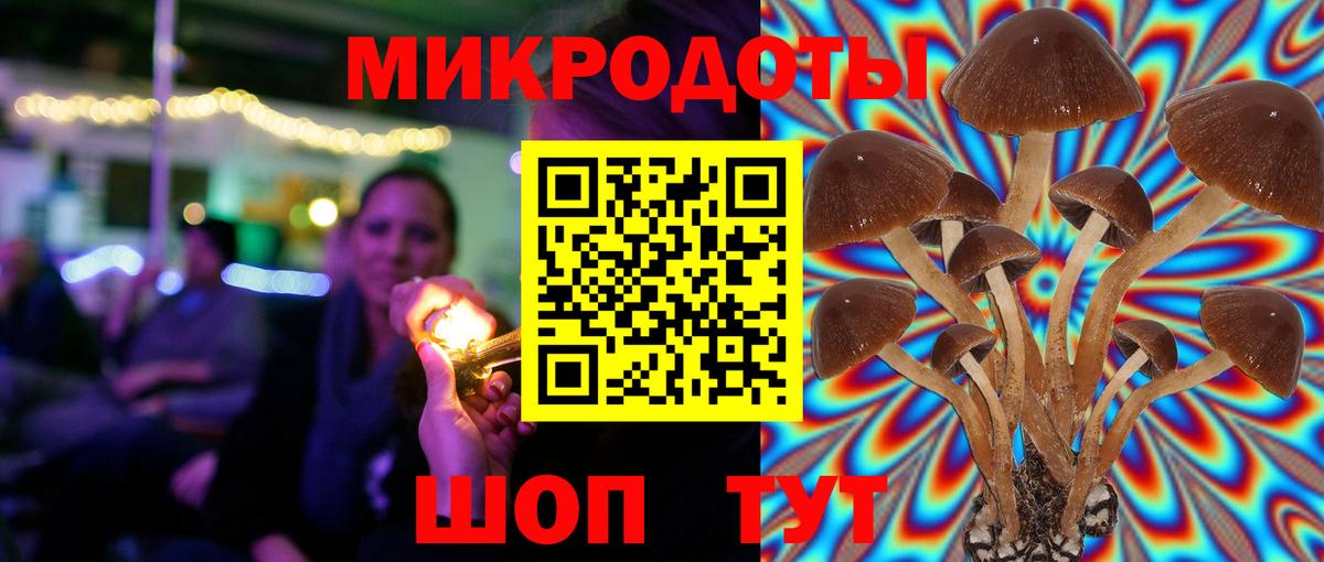 Псилоцибиновые грибы ЛСД Ефремов